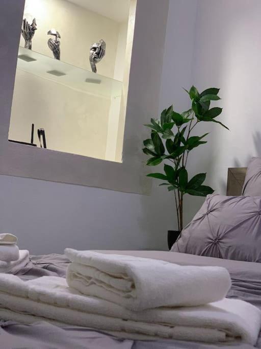 Studio Central Mm Apartments Brasov Bagian luar foto