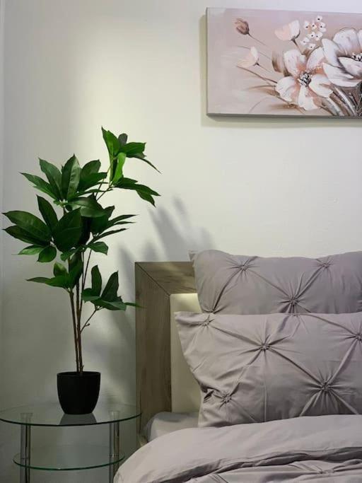 Studio Central Mm Apartments Brasov Bagian luar foto