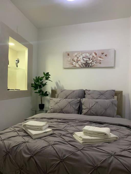 Studio Central Mm Apartments Brasov Bagian luar foto